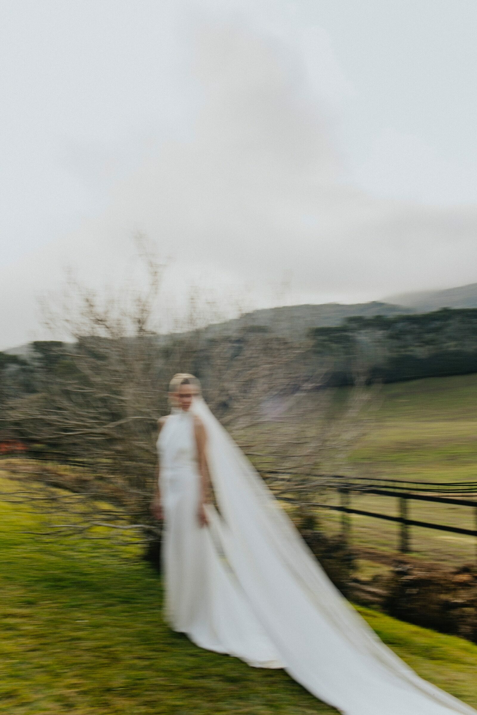 Foto de Ballena Movie 0