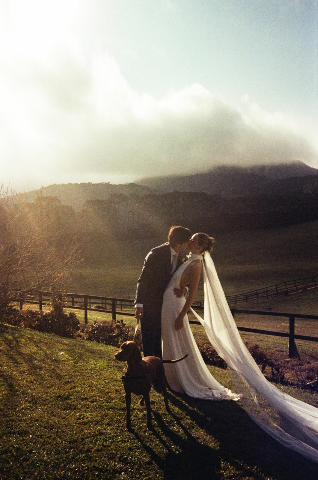 Foto do Sobre de Ballena Movie / Filmagem de Casamento | Wedding Destination